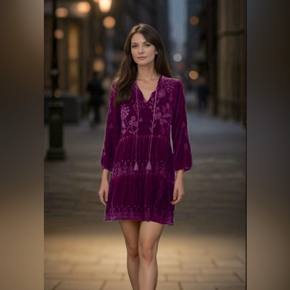 Johnny Was Ivey Velvet Field Tiered Dress Embroidery Dress Size M - Picture 15 of 16